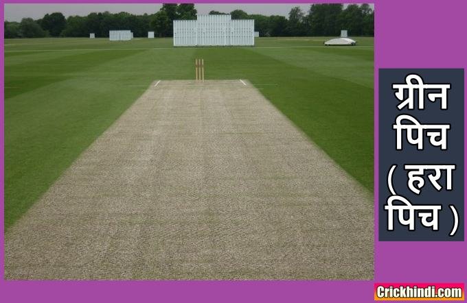 green pitch in cricket
