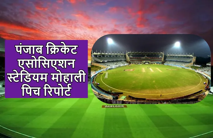 Punjab cricket association stadium Mohali pitch report in hindi